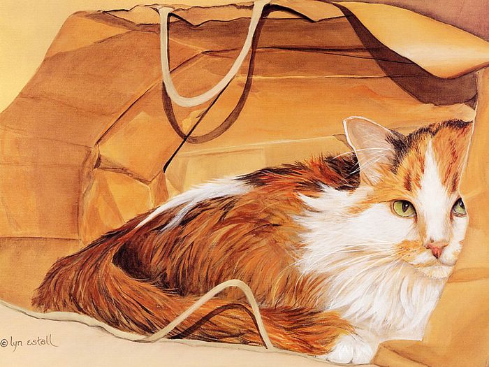 画家笔下的可爱猫咪壁纸 - Lyn Estall 猫咪插画 - 可爱手绘猫咪桌面 Cat paintings fantasy cat art4