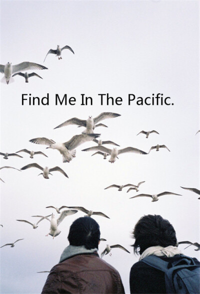 D'Arcy、Find Me In The Pacific、夏天、Summer、安静、文字