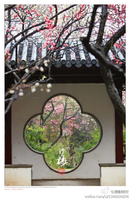 #南京梅花节#赏梅地图之梅岗访梅！雕梁画栋，姹紫嫣红，是不是瞬间有游园惊梦的既视感？