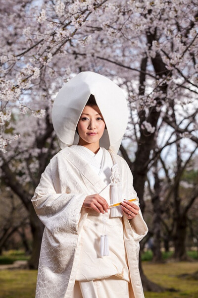 Bride #japan