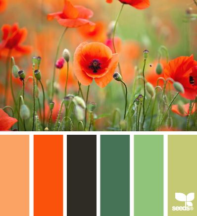 color nature= bright and pretty