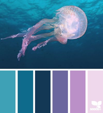 jellyfish hues= PRETTY PRETTY!!!!