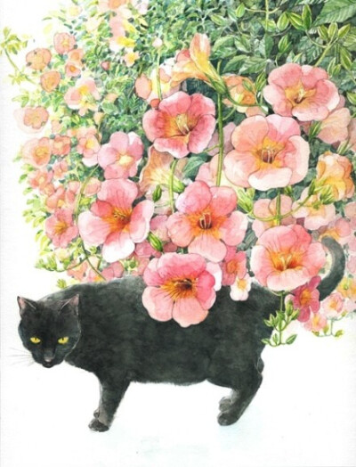 猫与花。作者：日本插画家山田绿