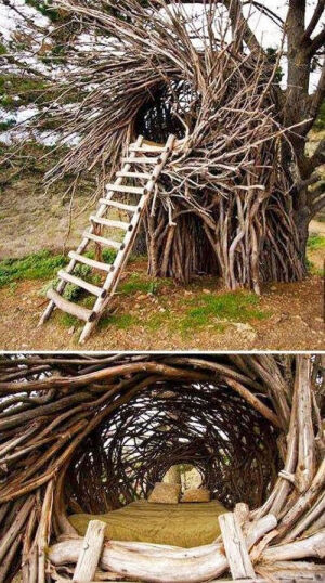 Nest bed…