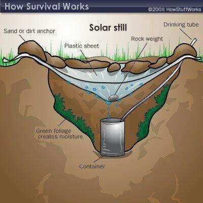 Survival skills - fun project for the desert!