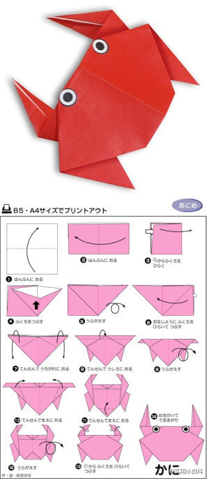 日式折纸教程之9种小动物的折法，一天一只折起来=(￣(エ)￣)=@实用小百科（转）