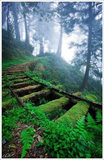 我从不听乱世的耳语，只看想要的风景