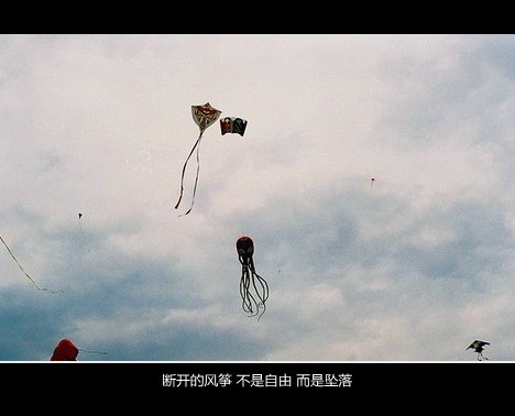 断开的风筝 不是自由 而是坠落