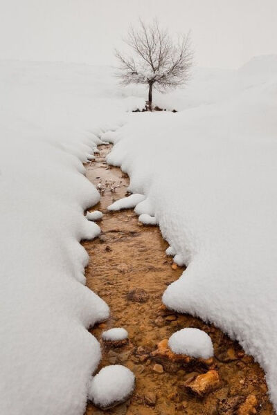 冬雪