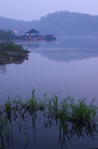 几时归去，作个闲人