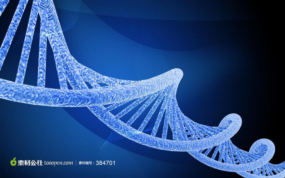 人类dna图片素材现在加入素材公社即可参与传素材送现金活动