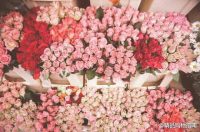 #情人节# 如果没有鲜花，没有象征爱情的玫瑰，你想要什么？