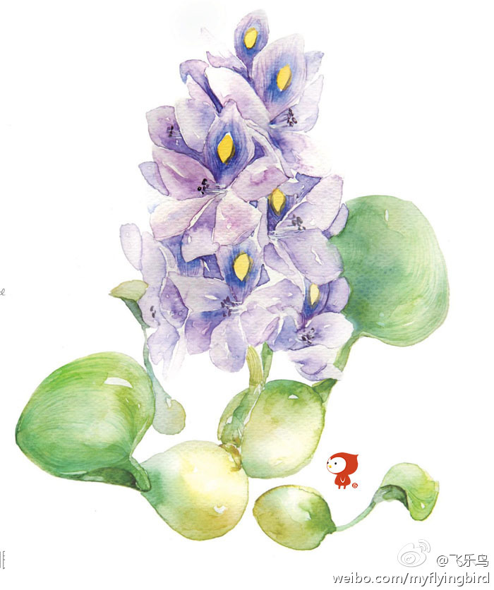 飞乐鸟的作品水彩花之绘颜料与水分的温柔邂逅每一笔都是花开的声音