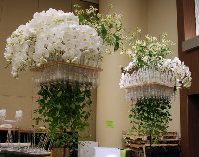 Who knew that plastic water and soda bottles......could look so great with phaleonopsis orchids and albino gloriosa lilies......and be illuminated into pillars for a green, urban look?