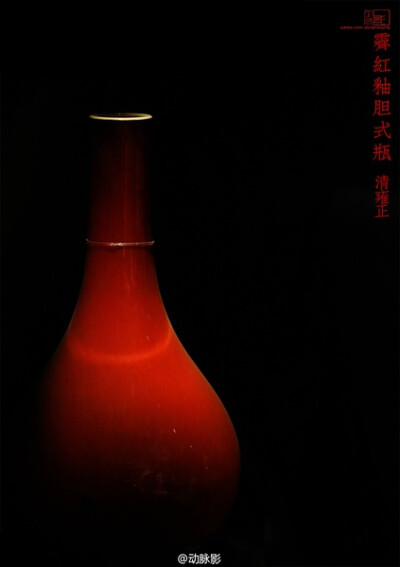 2013.5.19 北京故宫博物院 陶瓷馆 霁红釉胆式瓶 清雍正