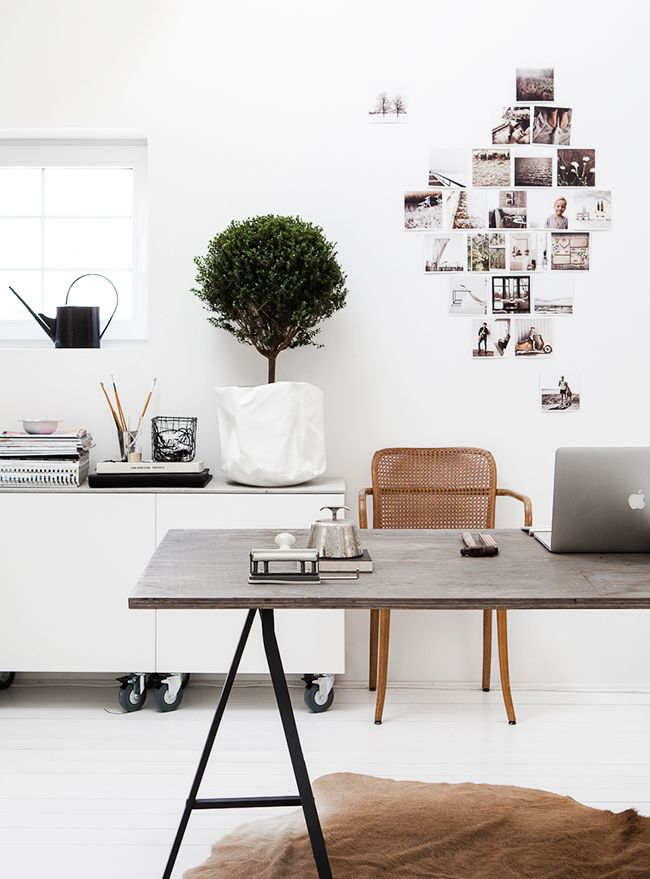 Daniella Witte’s office - COCO LAPINE DESIGN