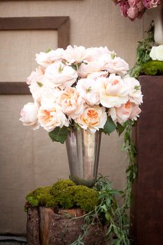 gorgeous garden roses