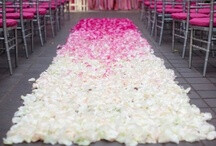 Ceremony Aisle Style / The beautiful walkway before the bride reaches her groom / by Desiree Dent