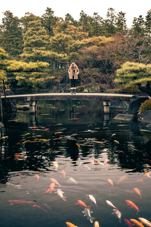 只剩一片森林，尽是海里藏着愿望。