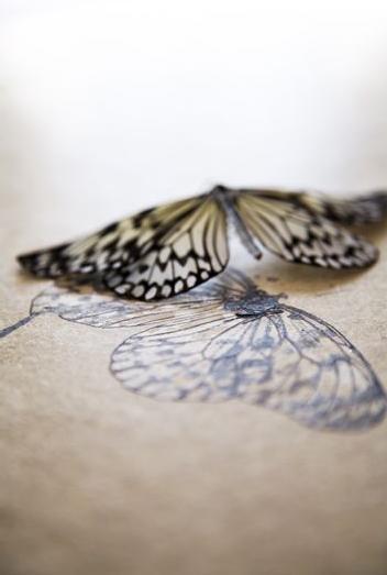 別將焦點放在別人的問題上，耽誤了自己的生命目標。