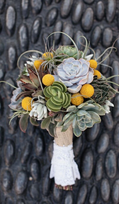 beautiful succulent bouquet