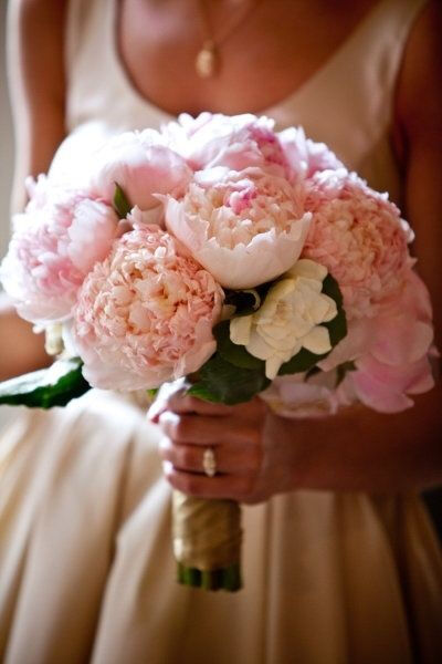 Pink Peonies and Ranunculus with Gardenia accent wedding bouquet | Peony &amp;amp; Ranunculus Wedding Bouquet