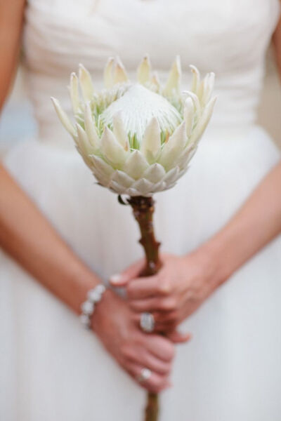 protea wedding bouquet