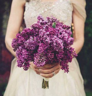 a simple lilac wedding bouquet. #wedding