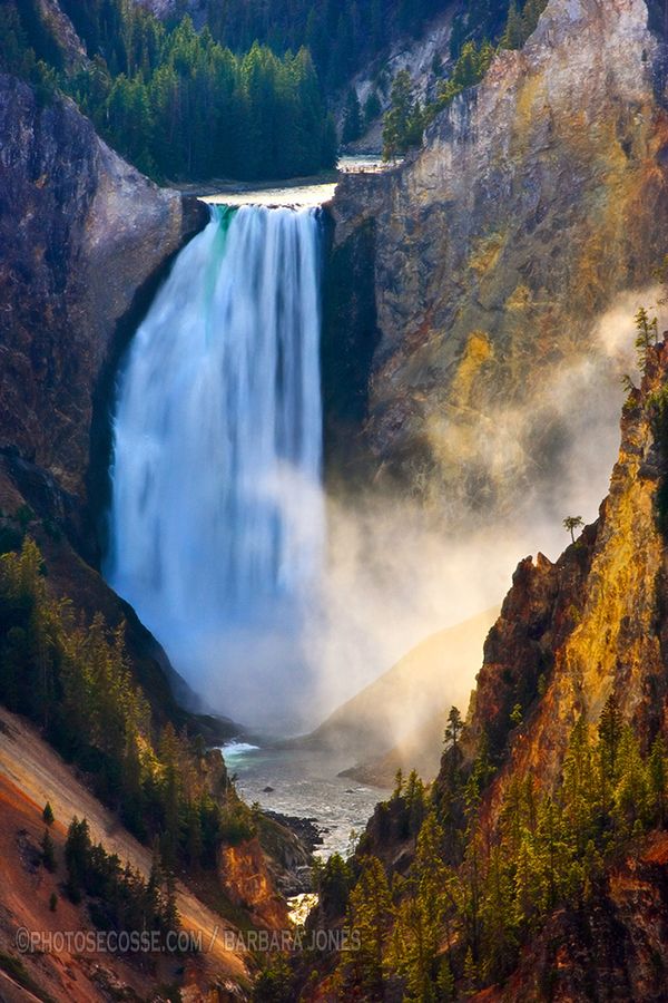 Lower Falls. Grand Canyon of Yellowstone. Wyoming. USA.