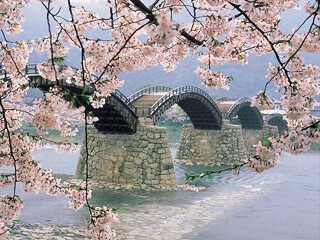 Kintai Bridge in Iwakuni Japan. A favorite place for me when I was a kid.