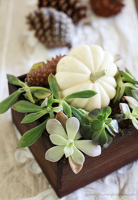 fall centerpiece