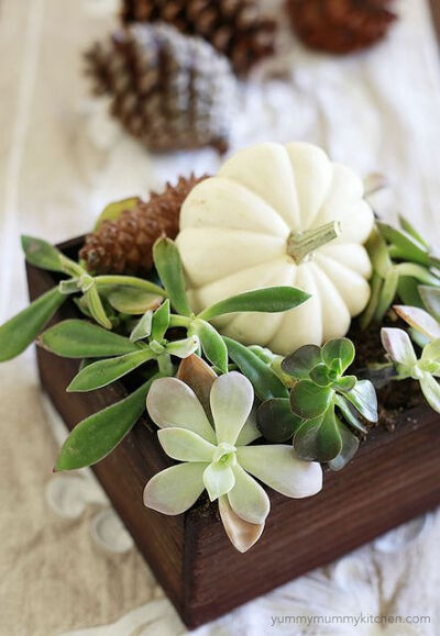 fall centerpiece