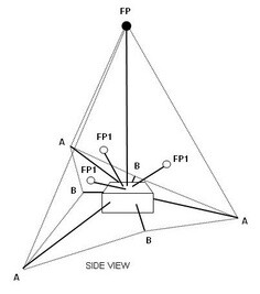 Basic Arrangement Forms In Floral Designing