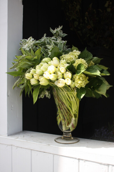 All green tulip arrangement with swirled stems - by Botany Flowers.