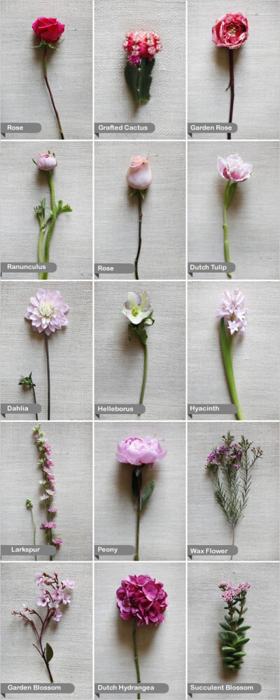 pink wedding flowers