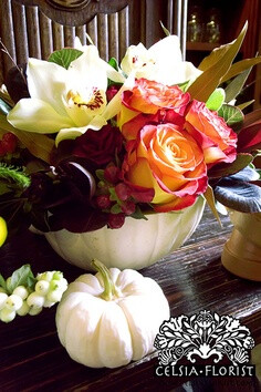 Celsia Florist: Fall Pumpkin Arrangements - Vancouver Florist