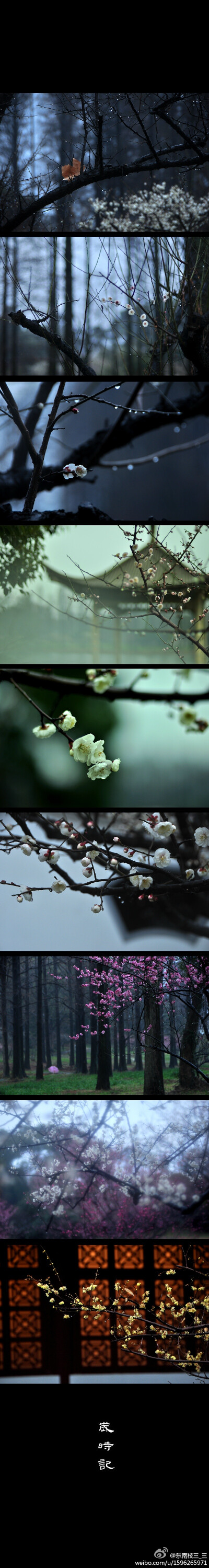 如逢花开，如瞻岁新