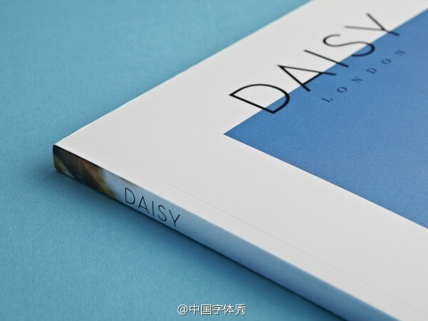 DAISY珠宝品牌设计