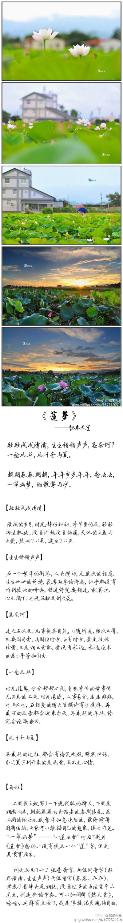 【莲】清浅的岁月，时光静好如初，季节里的风，轻轻拂过肌肤，没有忧愁没有伤痛，张扬着天地的大美与大爱。