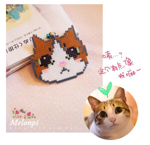 猫咪. 拼豆素材收集~