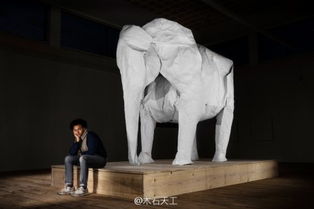 几个月前，瑞士艺术家 Sipho Mabona 说要用一张纸折出一头真象等大的纸象。现在，他真的做到了。凭借从网络筹集到的26000美元，他买了一张长宽各15米的纸，请了超过12位助手，花了四个星期时间，折出了一头高3米的纸象。http://t.cn/8szaerm