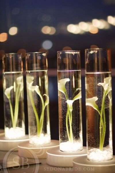 wedding. Thats a cool concept. You could use flamesless candles under marbles in a vase to illuminate it (: