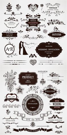 Wedding decor vector | Vector Graphics &amp;amp; Vector Illustrations