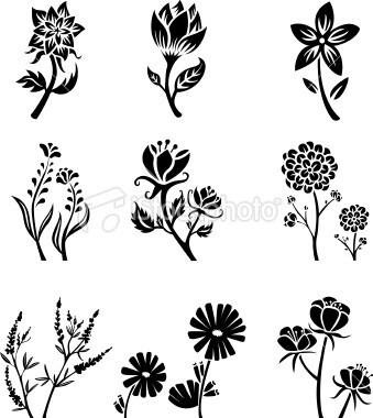 Flower silhouettes Royalty Free Stock Vector Art Illustration