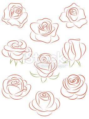 Set of roses. Vector illustration. Royalty Free Stock Vector Art Illustration