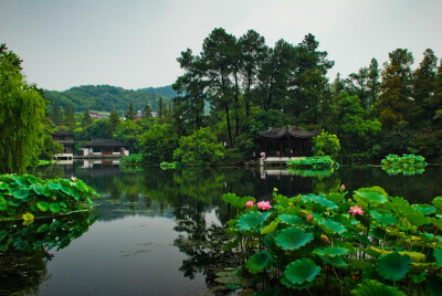 曲院原名曲院，位于金沙涧（西湖最大天然水源）流入西湖处，南宋这里辟有宫廷酒坊，湖面种养荷花。夏日清风徐来，荷香与酒香四下飘逸，游人身心俱爽，不饮亦醉，曲院风荷成为西湖十景之一。