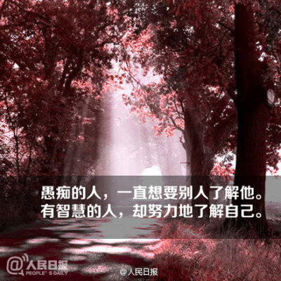 【人生行走的九个路标】沿着正确的方向，才能走上对的路。九句话，送给或许迷茫或许执着的你。周末，早安！