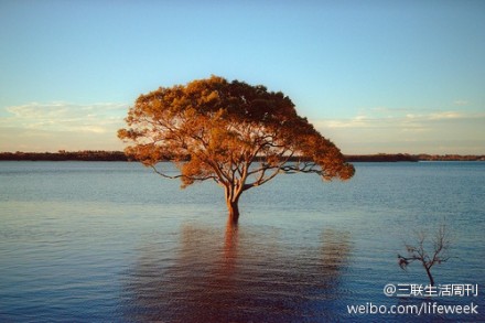 生活中只有一种英雄主义，那就是在认清生活真相之后依然热爱它。（罗曼·罗兰）晚安，各位。