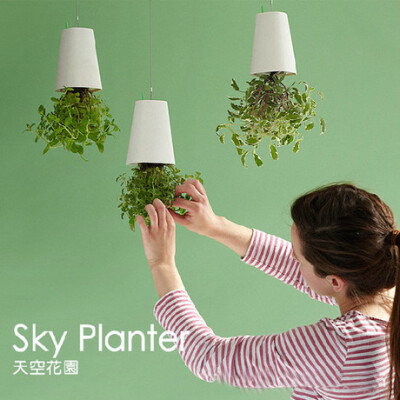 现货正品Sky planter 倒挂天空花园/花盆/花器/盆栽 北欧宜家装饰