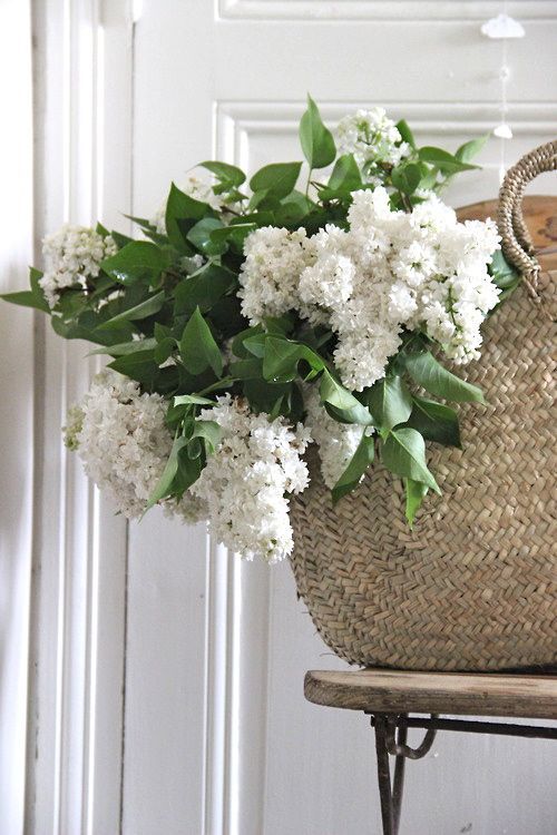 White lilacs + straw market basket